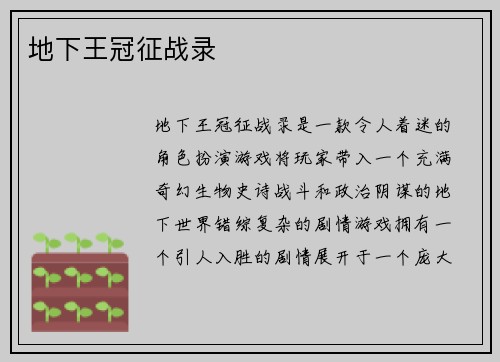 地下王冠征战录