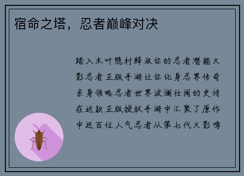 宿命之塔，忍者巅峰对决
