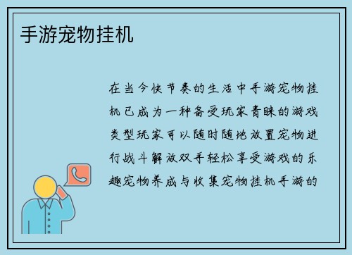 手游宠物挂机