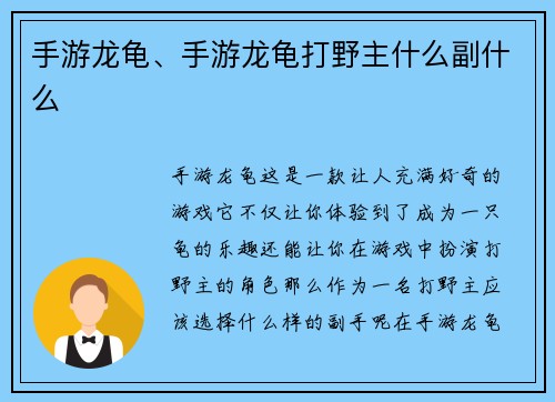 手游龙龟、手游龙龟打野主什么副什么